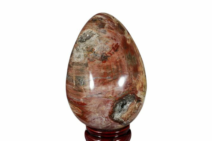 Colorful, Polished Petrified Wood Egg - Madagascar #172527